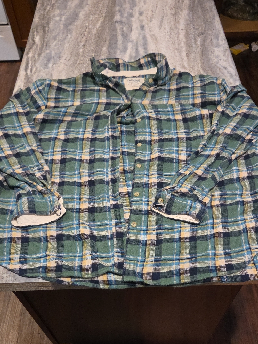 American Eagle Outfitters Green and Blue Plaid Button-Down Shirt